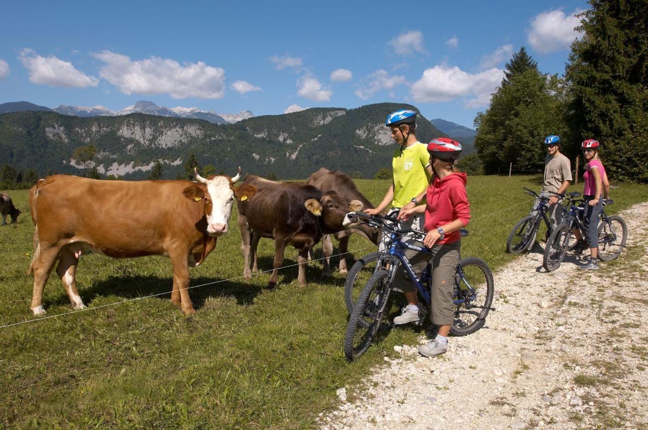 Bohinj Eco Hotel Bohinjska Bistrica Ngoại thất bức ảnh