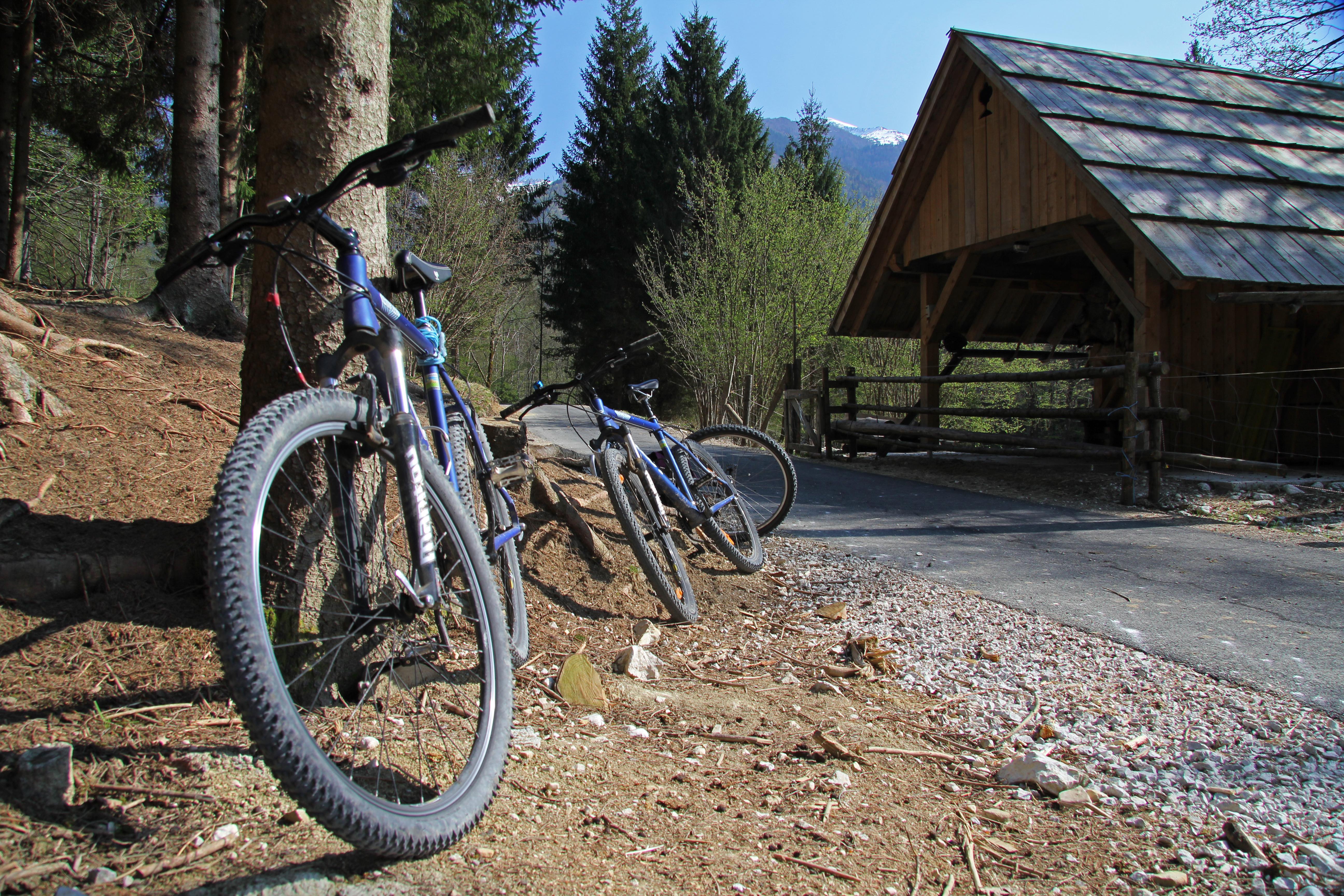 Bohinj Eco Hotel Bohinjska Bistrica Ngoại thất bức ảnh